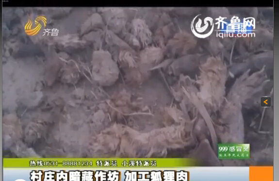 臨沂：村莊內(nèi)暗藏小作坊 日加工死狐貍?cè)馍习賴?/></p>

<p><strong>臨沂</strong>齊魯網(wǎng)<strong>11月13日訊</strong>同樣的一袋肉，在這家超市是羊肉，到了另一家超市變成了驢肉，再換一家超市又成了狗肉，然而這是一袋最不應該出現(xiàn)在消費者餐桌上的肉，為了消費者的食品安全，記者冒著風險連續(xù)三天的暗訪，究竟是什么肉呢？</p>

<p>據(jù)山東廣播電視臺齊魯頻道《小溪辦事》欄目報道，這是臨沂河東區(qū)鳳凰嶺街道的潘家湖村，一進村記者就聞到了引人做嘔的腥臭味，爆料人稱這是村里人加工肉的味道，而且全村每家每戶都參與加工肉的工作，這也成為全村人的主要經(jīng)濟來源。“這是暴利，一天掙大（近）萬多塊錢，這不暴利嗎？這味太大了，我在里面聞不了。”</p>

<p>記者在看到村里的街道上到處都是動的肝臟和爪子，街道上每隔十幾米就有一個加工肉的作坊，報料人稱加工肉的作坊沒有任何手續(xù)，而他們加工的究竟是什么肉呢？</p>

<p>爆料人拿著起一袋肉稱：“這就是他們當狗肉賣的狐貍凍！肉凍是用水和膠勾兌的，再把肉摻在一起?！边@包裝的“農(nóng)家風味”，竟然是狐貍?cè)?。記者查看外包裝，沒任何的生產(chǎn)廠家、生產(chǎn)日期和保質(zhì)期，更沒有任何國家食用標準的三無產(chǎn)品，而爆料人稱這些三無產(chǎn)品非常暢銷，“山東德州、內(nèi)蒙古、南方一帶江蘇銷量比較大”。</p>

<p>記者從爆料人那里了解到，這狐貍?cè)猱a(chǎn)品可不止狐貍凍這一種，而是五花八門什么肉都有，利潤非?？捎^?！坝褪裁吹?、肝什么的都賣了，沒有扔的，還有狐貍骨頭架子，這些東西都賣了，沒有剩下的東西，當成狗肉、牛肉、羊肉這些肉賣了，以次充好！”爆料人還稱：“他們的利潤空間非常大，一個冬天大約能賺好十幾萬。”</p>
</p>
</div>
</div>

<div   class=