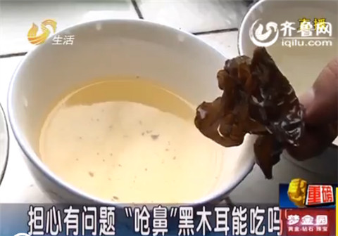 濟(jì)南市民購(gòu)買黑木耳氣味刺鼻 是否含有硫磺難分辨