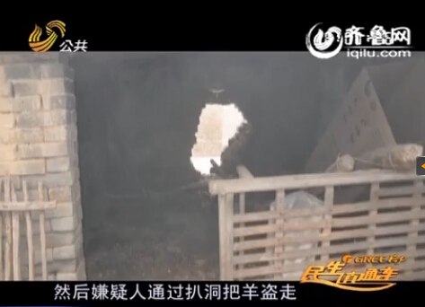 菏澤偷羊賊一夜扒洞偷走八只羊 轉(zhuǎn)手賣給親哥銷贓