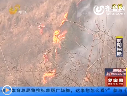 濟(jì)南西營(yíng)突發(fā)山火山體變黑 火勢(shì)局部控制救援仍持續(xù)