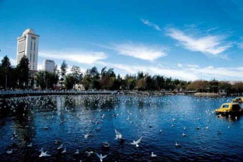 中國(guó)最養(yǎng)人城市TOP9榜單出爐 山東青島位居榜首
