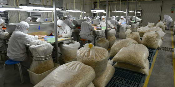 帶領(lǐng)農(nóng)民致富的生姜第一出口大戶：山東萬(wàn)興食品有限公司