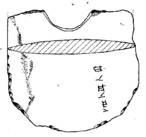 中國(guó)最早原始文字引熱議 被指是刻畫 非漢字前身