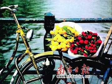 情人節(jié)怎么過最幸福？單身情侶過節(jié)攻略（組圖）