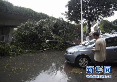 廣東發(fā)生雷雨大風(fēng)冰雹災(zāi)害 已造成12人死亡