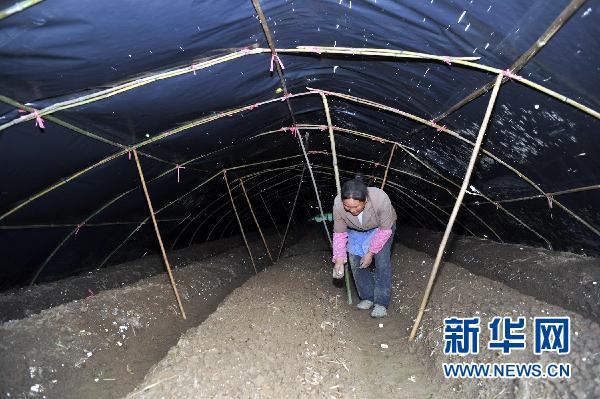 貴州10個縣區(qū)遭受冰雹災(zāi)害 損失嚴(yán)重