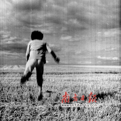“麥兜族”奔波在追夢的路上 腳踏實(shí)地默默奮斗