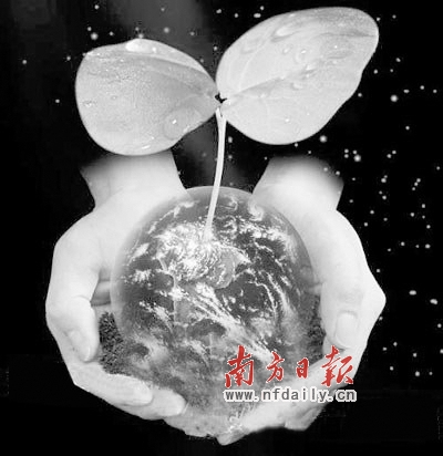 “麥兜族”奔波在追夢的路上 腳踏實(shí)地默默奮斗