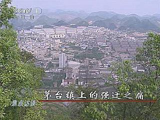 貴州茅臺(tái)鎮(zhèn)暫停打造“白酒一條街” 副鎮(zhèn)長(zhǎng)被停職