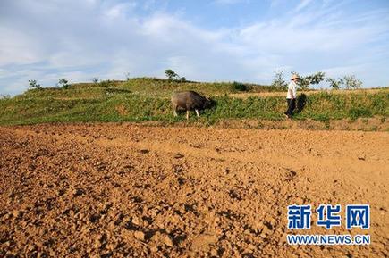 調(diào)查:千湖之省遭遇大旱之痛(組圖)
