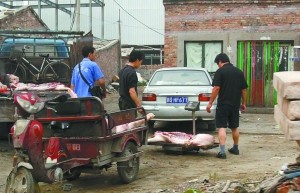 如何斬斷“泔水豬”利益鏈？