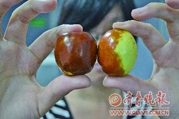 媒體曝紅棗用開水糖精泡制 專家稱過(guò)量食用或致癌(圖)