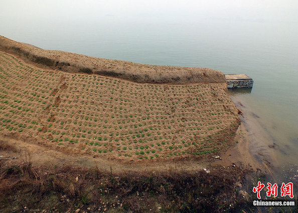 三峽水庫再次實現(xiàn)175米蓄水
