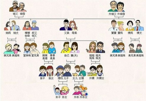 中國親戚關(guān)系圖受網(wǎng)友追捧 被贊“回家過年必備”