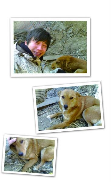 愛(ài)犬丟失7年后重逢 “人狗情未了”感動(dòng)網(wǎng)友(圖)