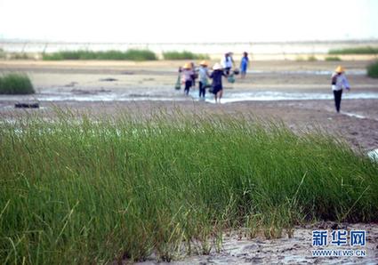 高清大圖：不只是食人魚 警惕“外來(lái)物種入侵”