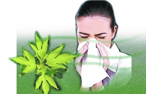 哪些外來生物已經(jīng)入侵北京？