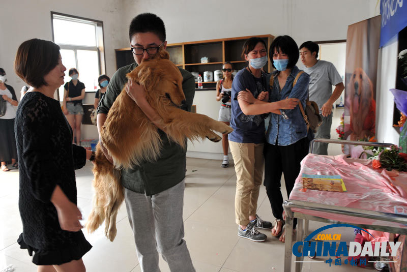 高清：寵物狗航空托運死亡 數十愛心人士送別