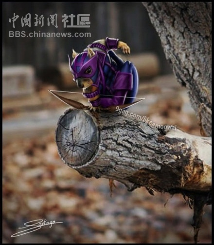 元芳很忙！細數(shù)那些一個不小心就火起來的“忙人”