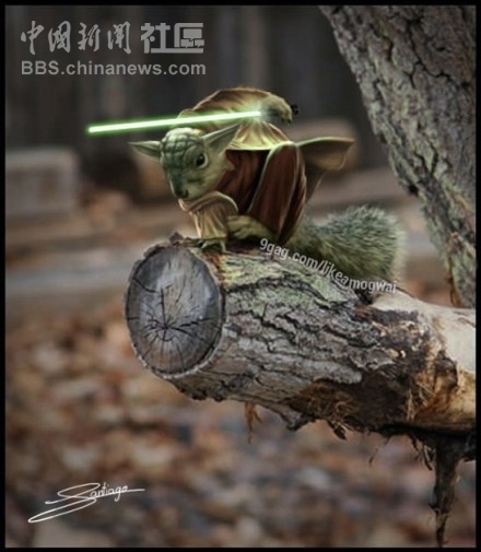 元芳很忙！細數(shù)那些一個不小心就火起來的“忙人”