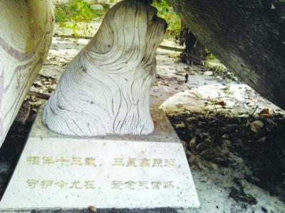 網(wǎng)傳南京現(xiàn)“千萬元狗墓” 官方回應：只是雕像