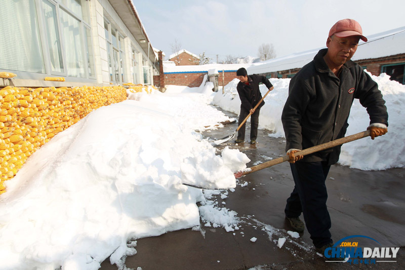 北京延慶遭遇52年來(lái)最大降雪 抗雪救災(zāi)有序進(jìn)行