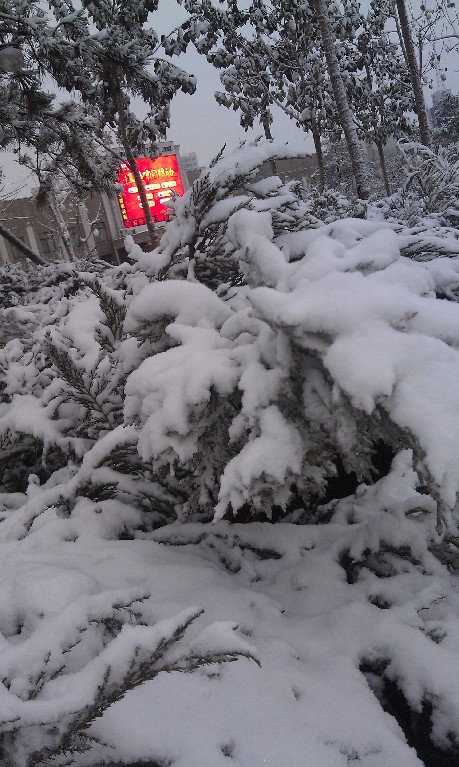 我國(guó)多地現(xiàn)降溫雨雪天氣