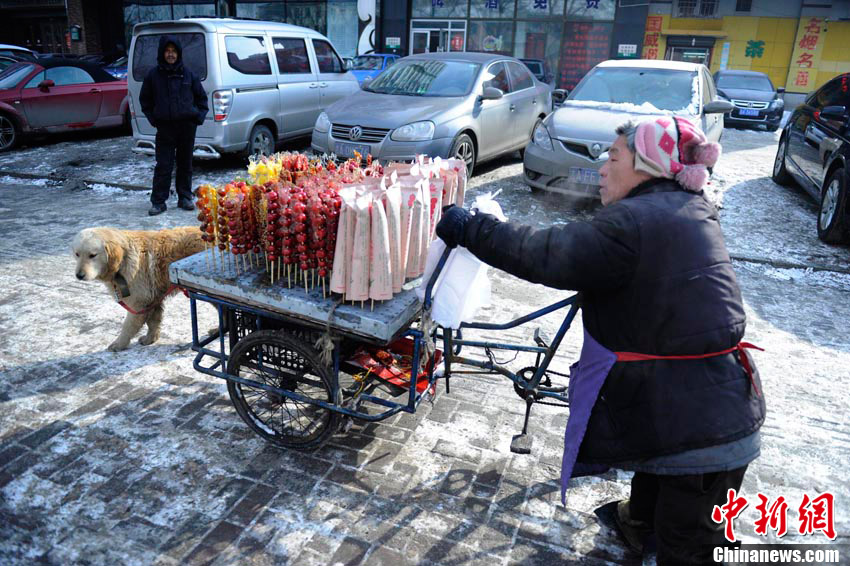 高清組圖“義狗”寒冬拉車助身殘主人賣冰糖葫蘆