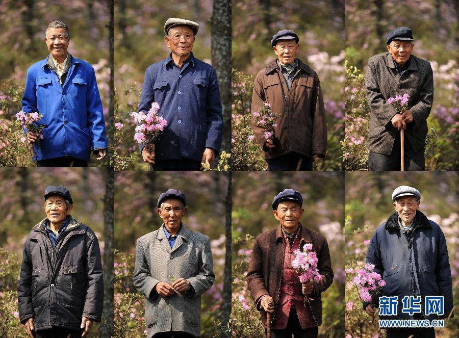 植樹(shù)造林，我們一直在行動(dòng)