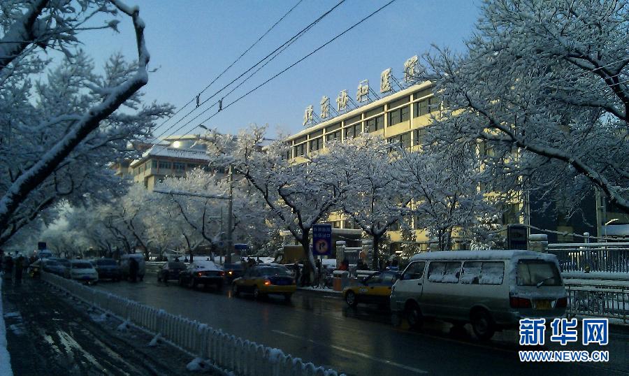 京城降雪迎春分 銀裝素裹如童話世界