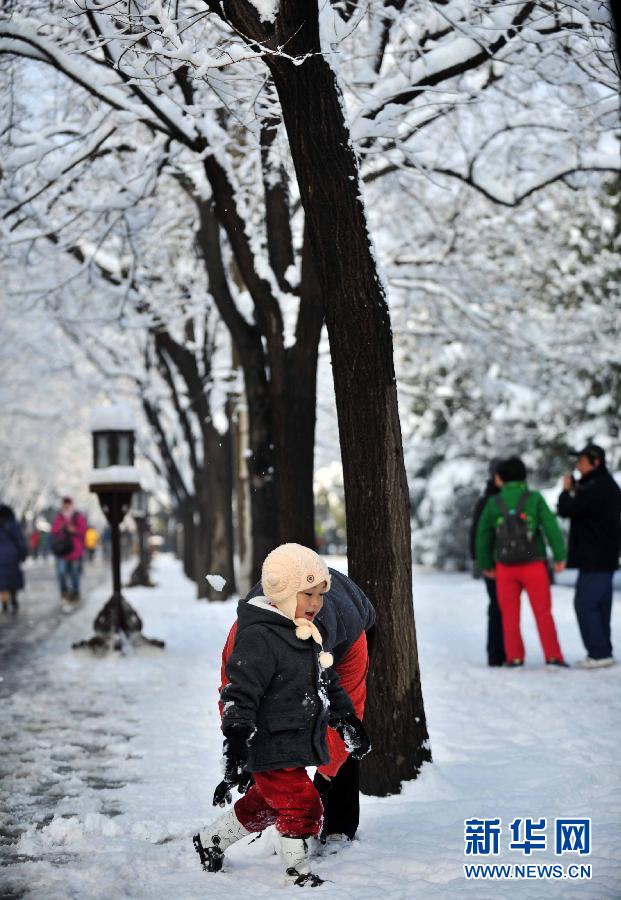 京城降雪迎春分 銀裝素裹如童話世界