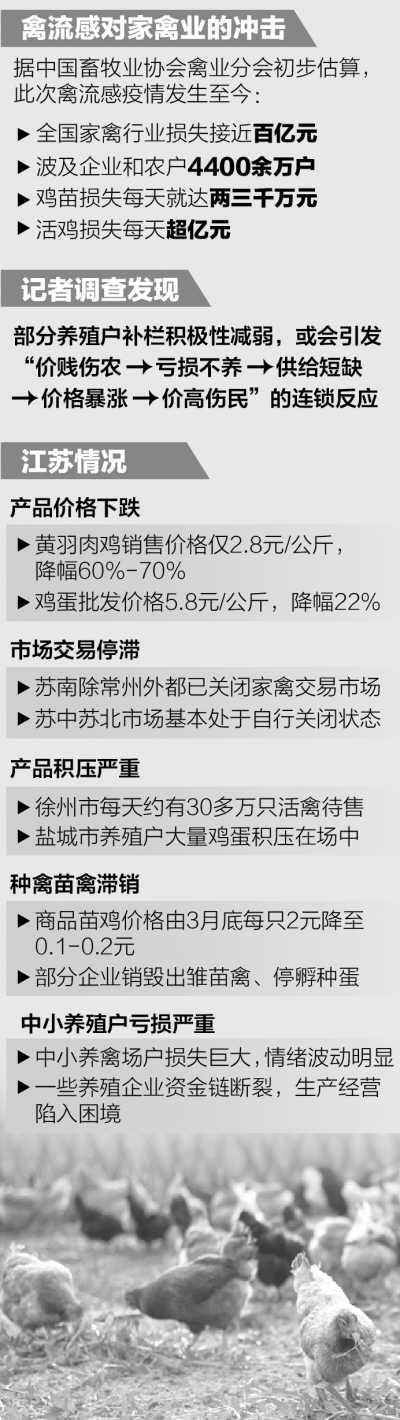 多地禽肉類價(jià)格大幅下挫 關(guān)聯(lián)企業(yè)紛紛虧損