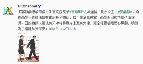 媒曝郭晶晶已懷孕兩月 霍震霆大笑默認(rèn)喜訊(圖)