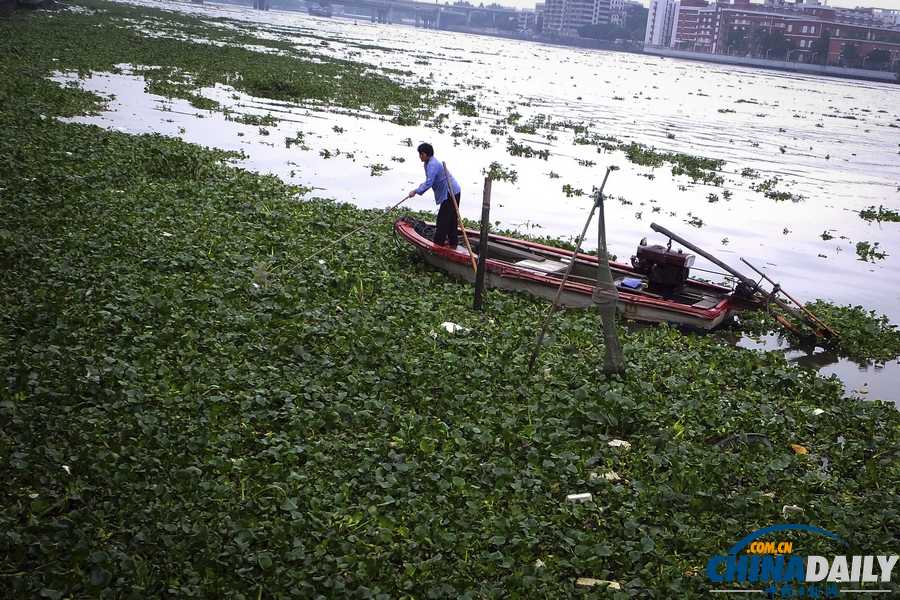 中國(guó)日?qǐng)?bào)一周圖片精選:5月6日-10日