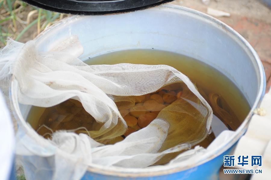 地下水成“綠茶”污染20多年該誰治？