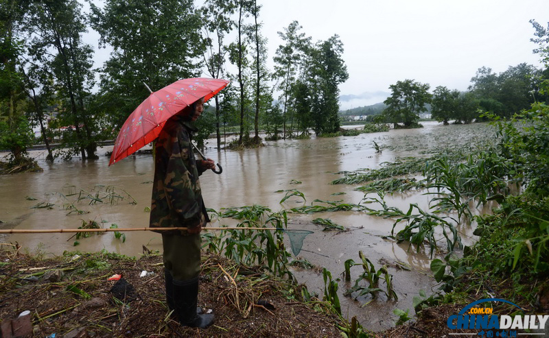 暴雨來(lái)襲——多地遭遇暴雨洪澇災(zāi)害