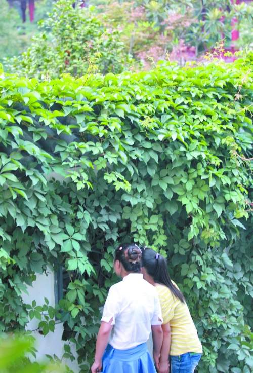 鄭州一公園每天只開(kāi)4小時(shí) 閉園后變高檔餐館（圖）