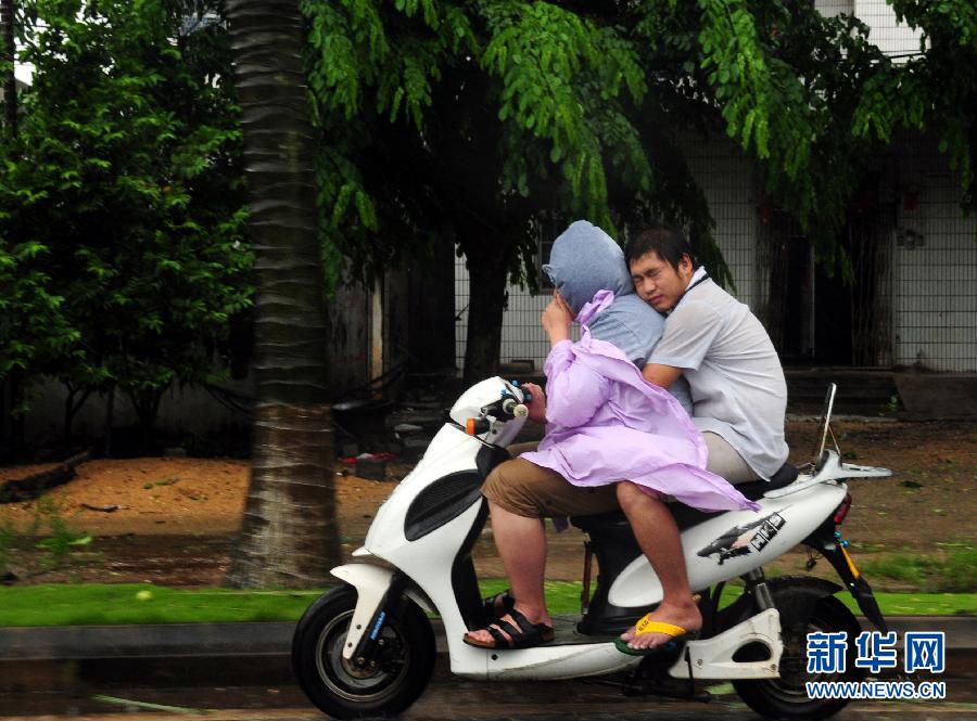 強(qiáng)熱帶風(fēng)暴“飛燕”登陸海南 街邊大樹被連根拔起