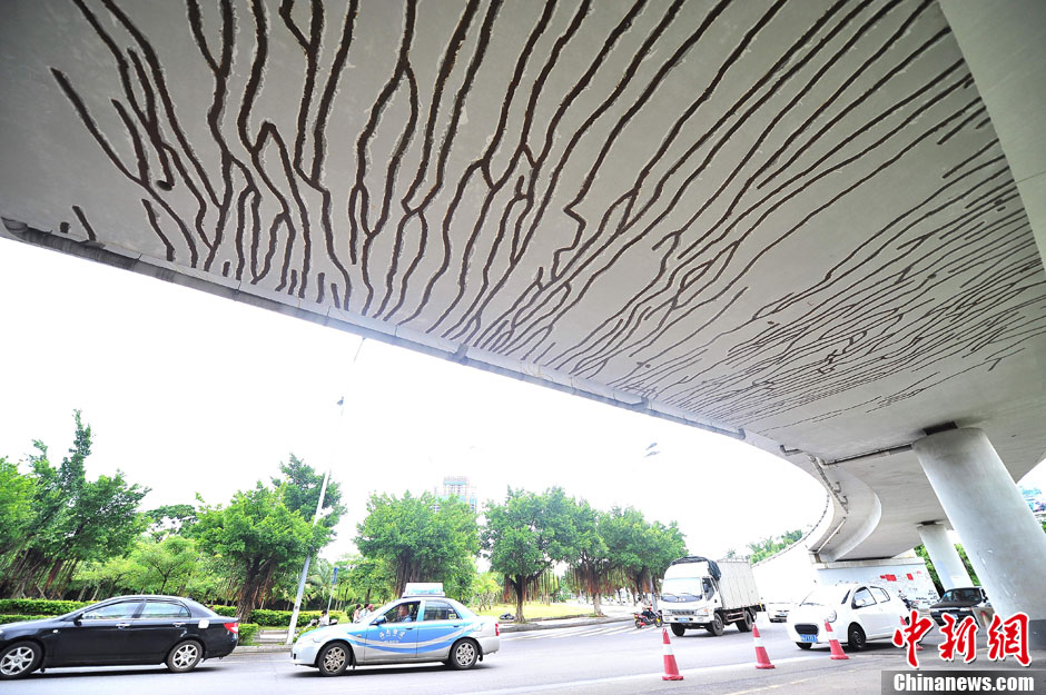?？谝灰龢颥F(xiàn)200余條裂縫 官方回應稱不影響通車安全[組圖]