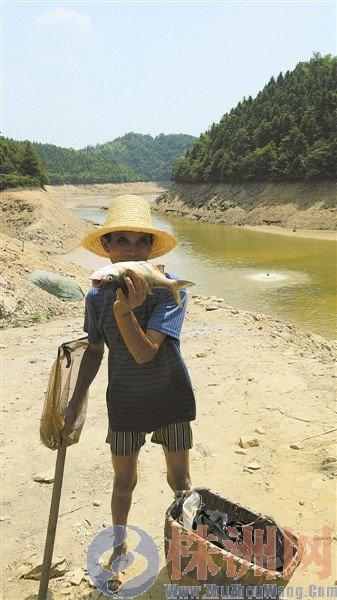 湖南龍?zhí)端畮?kù)干涸大面積死魚 8百村民開車搶魚