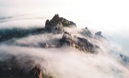收費鳳凰不如雞 網(wǎng)友評國內(nèi)十大最坑爹景點