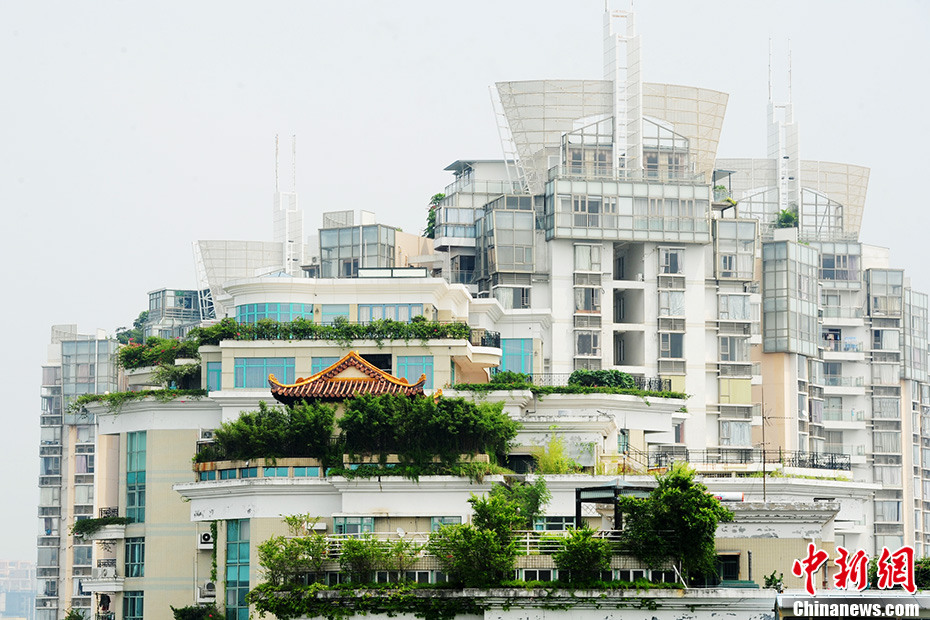 深圳現(xiàn)樓頂“廟宇” 政府部門介入調查