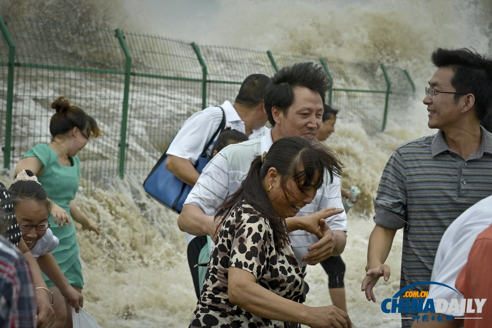 浙江海寧：高潮位達6.60米“回頭潮”席卷錢塘江鹽倉一帶 打翻數(shù)百名游客