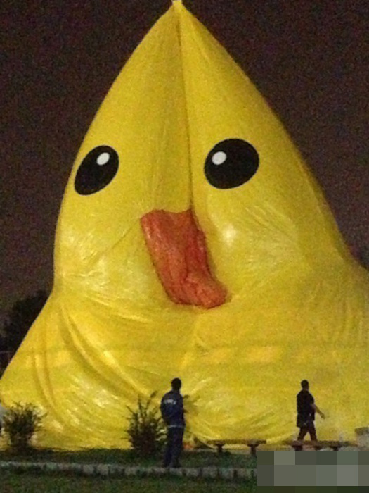 大黃鴨夜間亮相北京園博園 曝充氣全過程