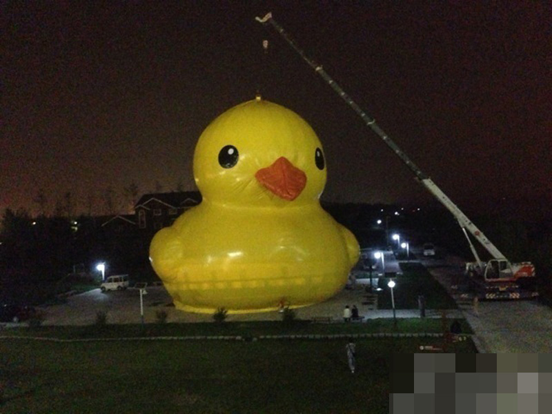 大黃鴨夜間亮相北京園博園 曝充氣全過程