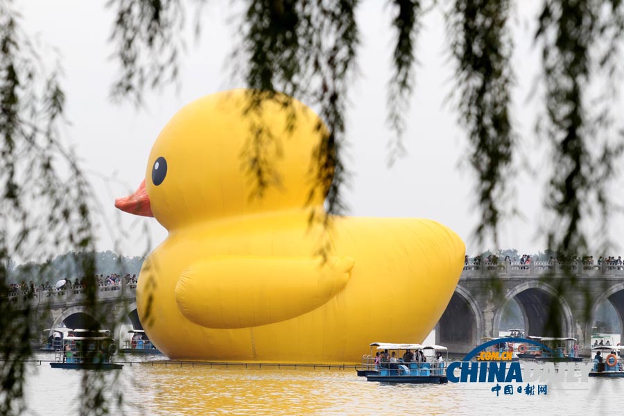 數(shù)萬(wàn)名中外游客冒雨進(jìn)頤和園看“大黃鴨”