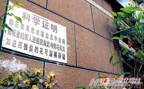 另類(lèi)沖刺標(biāo)語(yǔ)屌絲氣息濃郁 盤(pán)點(diǎn)那些令人無(wú)語(yǔ)的奇葩標(biāo)語(yǔ)（組圖）