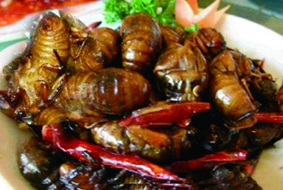 網(wǎng)友評出江蘇十大“怪菜” 炸蛆、活珠子上榜