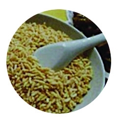 網(wǎng)友評出江蘇十大“怪菜” 炸蛆、活珠子上榜