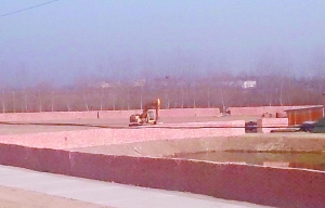 小區(qū)旁建墓地引來居民不滿 村委會(huì)竟許諾墓地建好后每家送一個(gè)